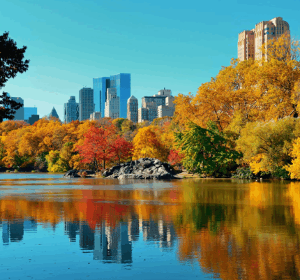 NYC Fall Meeting